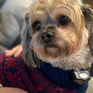 Meet your Posher, Beatriz